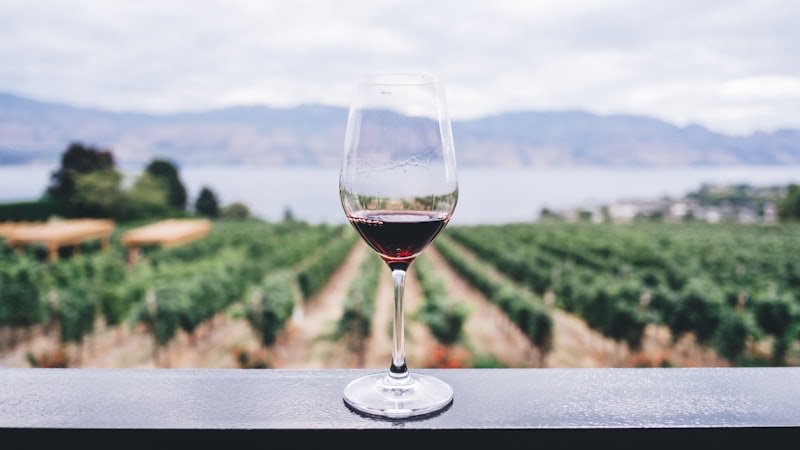 A Weekend at Portugal's Wine Country Hotels: Douro Valley Guide