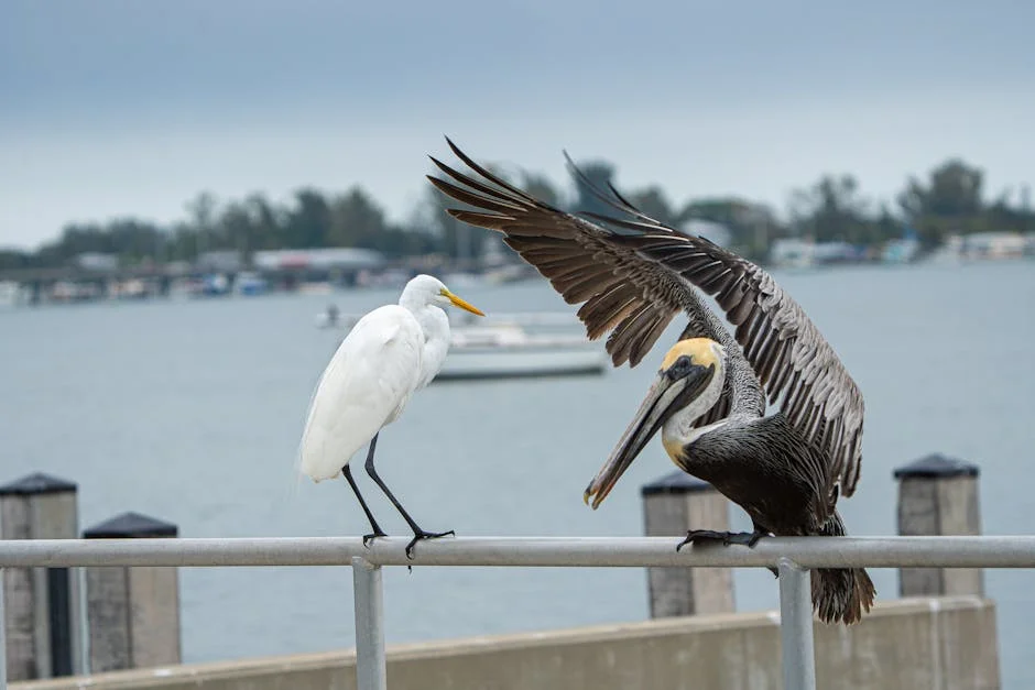 Anna Maria City neighborhood in Anna Maria Island
