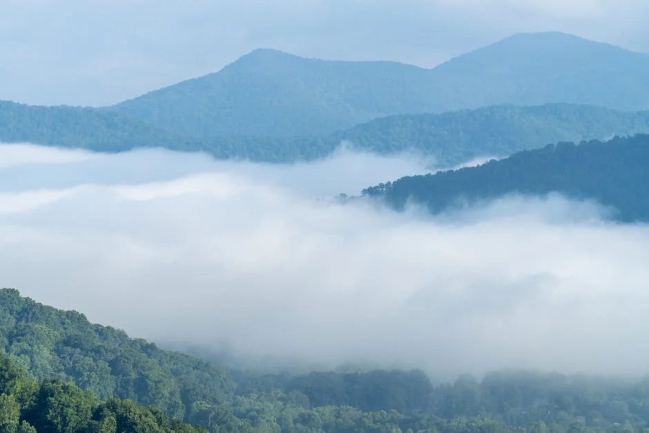 Asheville, North Carolina neighborhood in the Blue Ridge Mountains