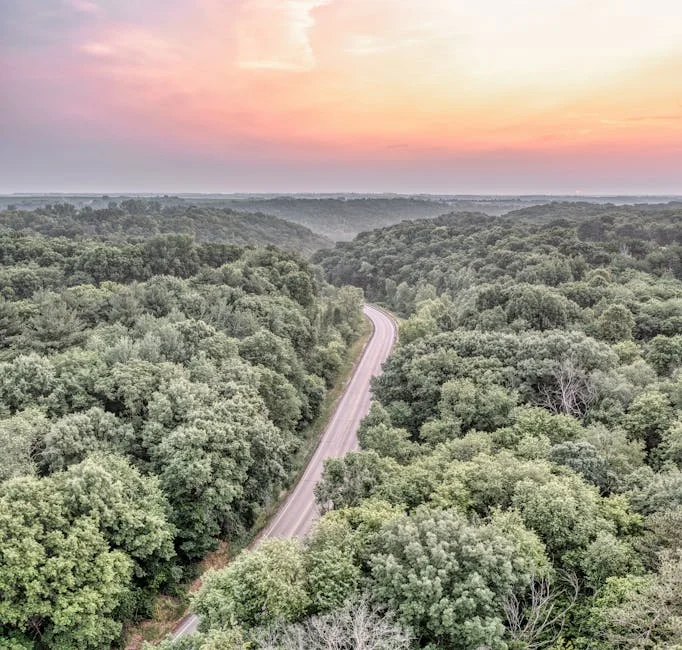 76 Country Boulevard (The Strip) neighborhood in Branson, MO