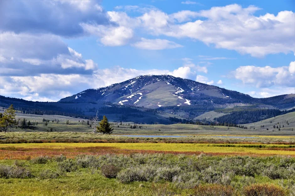 Gardiner, MT neighborhood in Yellowstone National Park