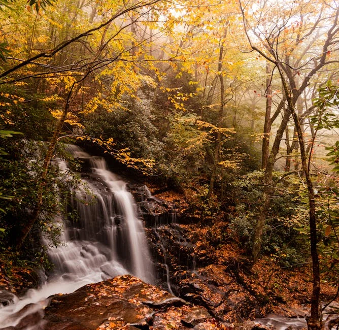 Baskins Creek and Historic Nature Trail neighborhood in Gatlinburg for Christmas