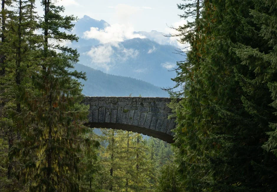 Longmire neighborhood in at Mt Rainier National Park
