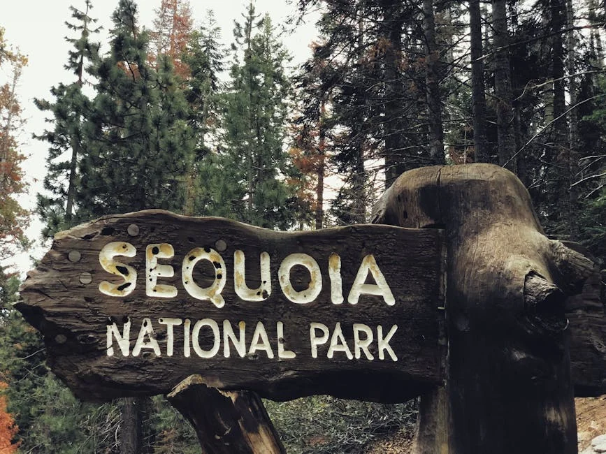 Three Rivers neighborhood in Sequoia National Park