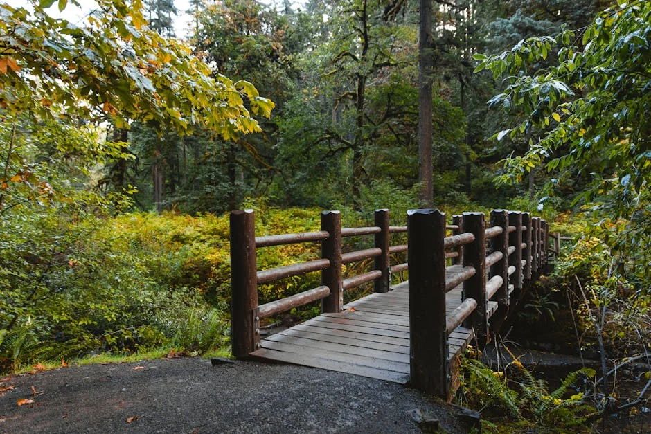 Stayton neighborhood in Silver Falls State Park