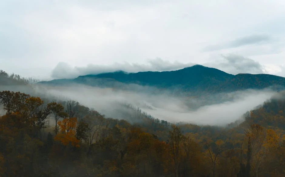 Townsend neighborhood in Smoky Mountains