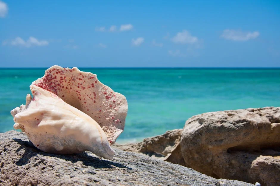 Long Bay Beach neighborhood in Turks and Caicos