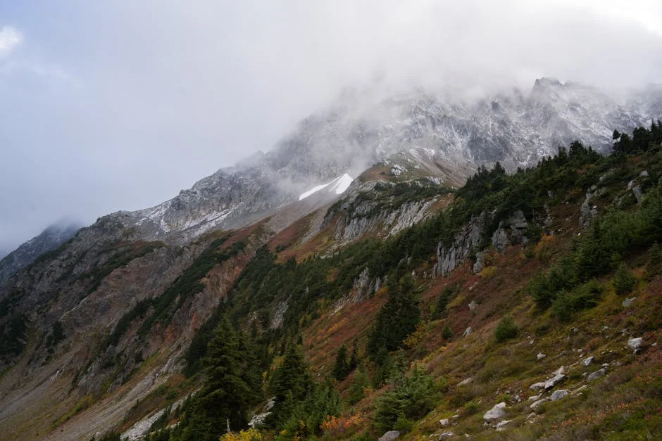 Winthrop neighborhood in When Visiting North Cascades National Park
