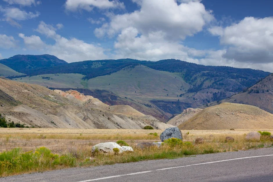 Cooke City, Montana neighborhood in When Visiting Yellowstone National Park